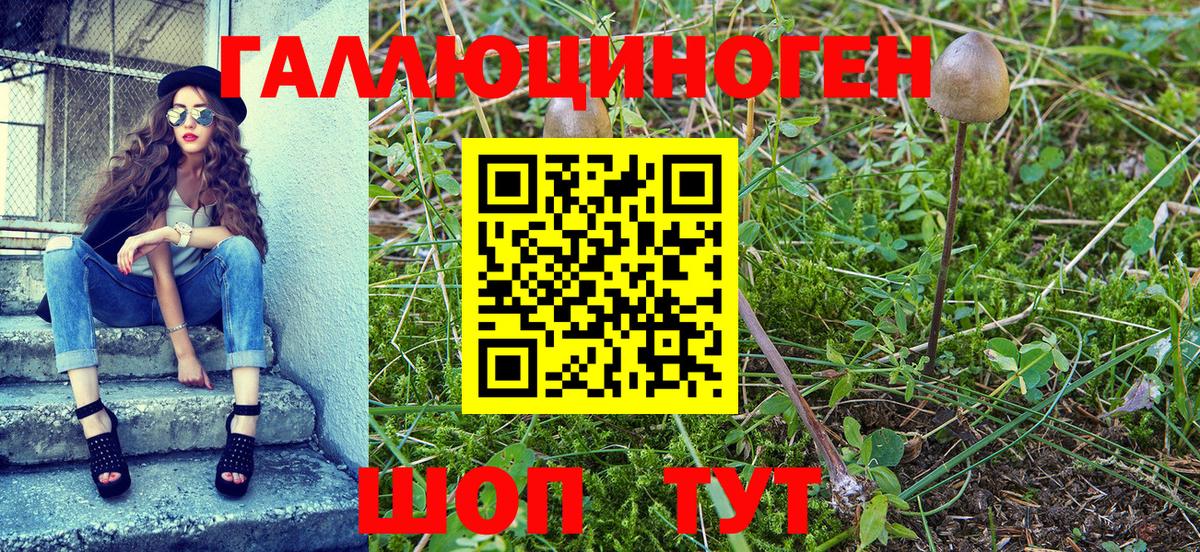 Псилоцибиновые грибы мухоморы Ивантеевка